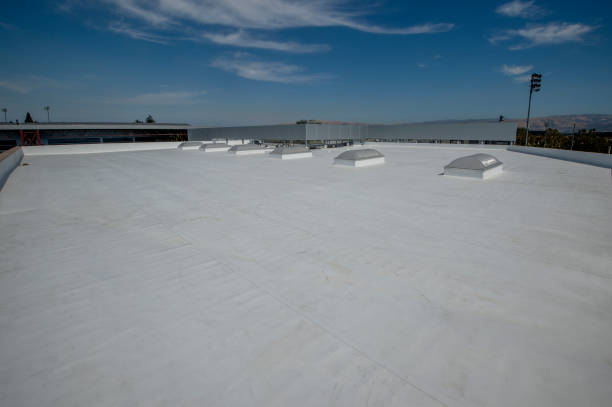 Best Rubber Roofing (EPDM, TPO)  in Southgate, KY