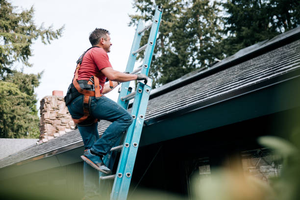 Best Chimney Flashing Repair  in Southgate, KY